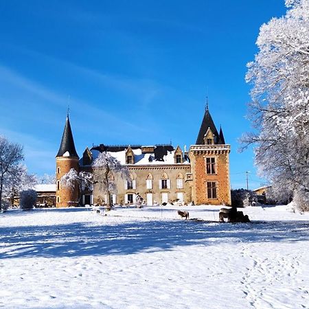 Chateau De La Forie Saint-Etienne-sur-Usson Zewnętrze zdjęcie