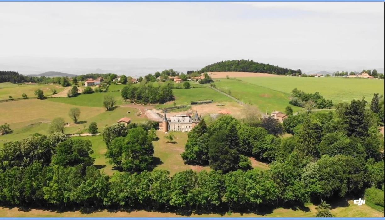 Chateau De La Forie Saint-Etienne-sur-Usson Zewnętrze zdjęcie