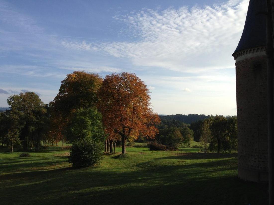 Chateau De La Forie Saint-Etienne-sur-Usson Zewnętrze zdjęcie