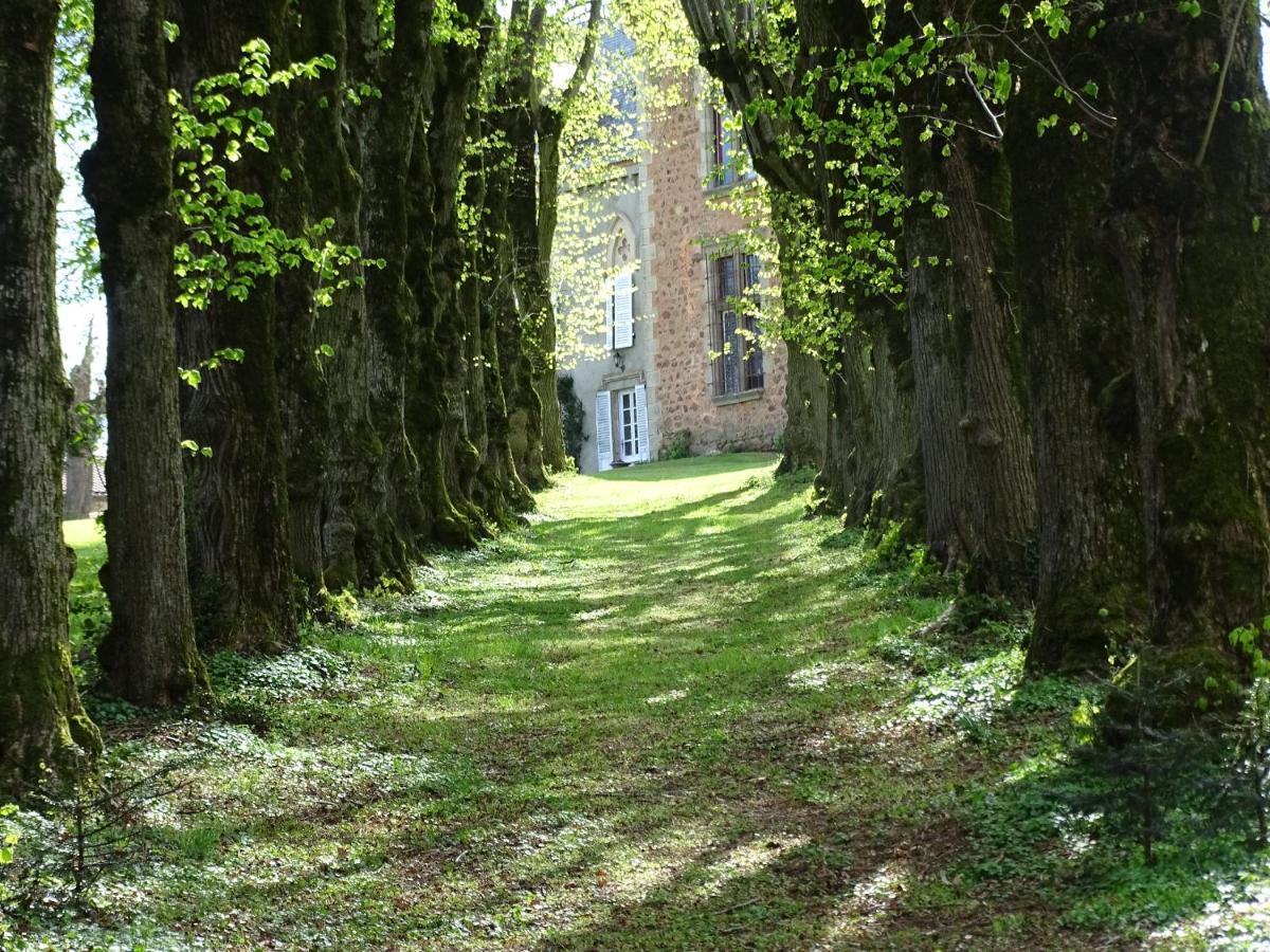 Chateau De La Forie Saint-Etienne-sur-Usson Zewnętrze zdjęcie