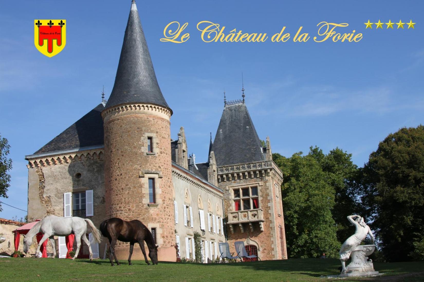 Chateau De La Forie Saint-Etienne-sur-Usson Zewnętrze zdjęcie