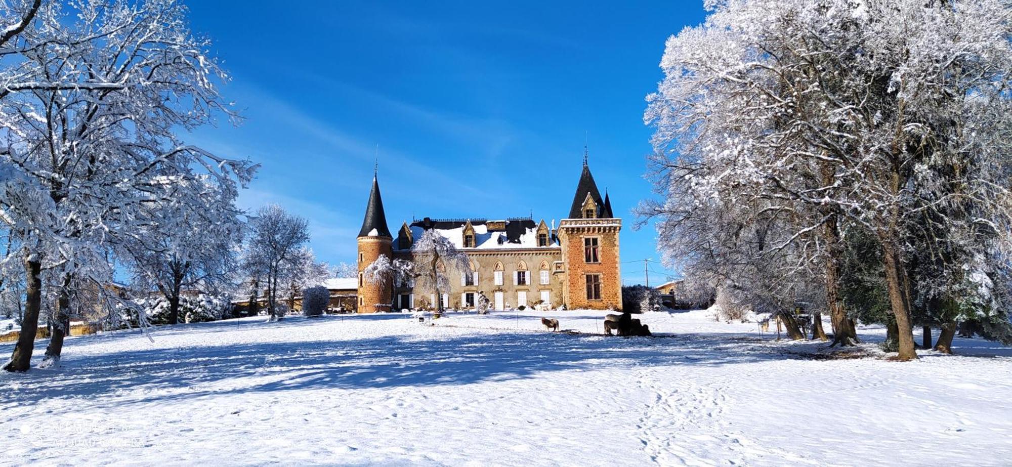 Chateau De La Forie Saint-Etienne-sur-Usson Zewnętrze zdjęcie